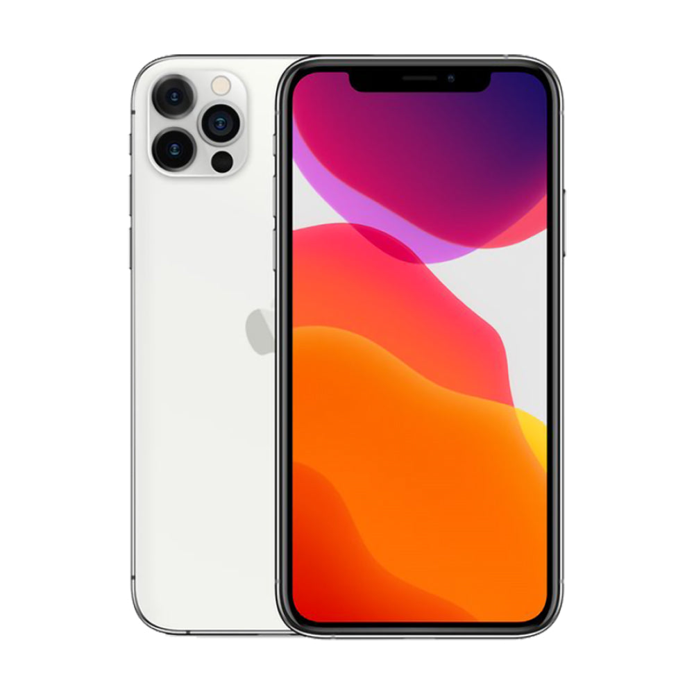 iPhone 12 Pro 256 Go - Argent - Débloqué - Bon état